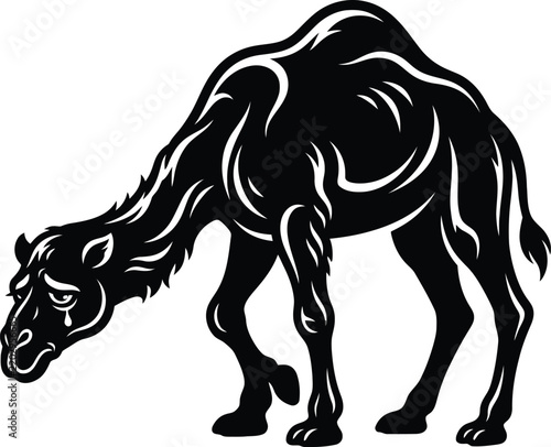 A striking black silhouette of a dromedary camel showcasing its elegant form and desert adaptation