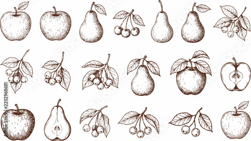 Collection of hand drawn apples pears cherries with leaves isolated illustration