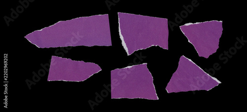 Картината върху платно Set of six torn purple paper fragments with irregular angular shapes, rough ripp