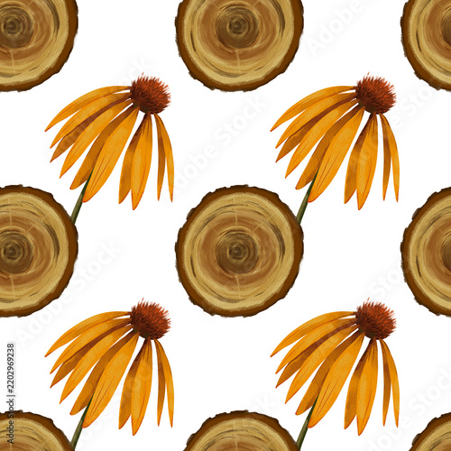 Seamless pattern with watercolor wood slices and yellow coneflowers