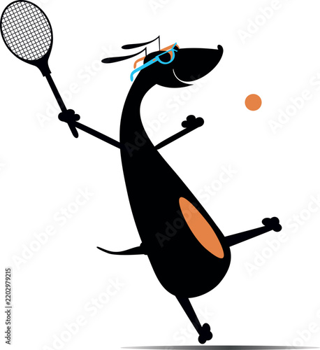 Tennis court. Funny dog hits a ball