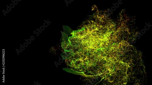 Abstract Fluorescence Microscopy of Cellular Organelles and Cytoskeleton Network in Green and Yellow Dyes