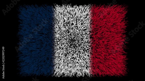 Bandera de Francia / Bandera francesa