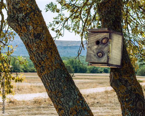 Birdhouse on tree