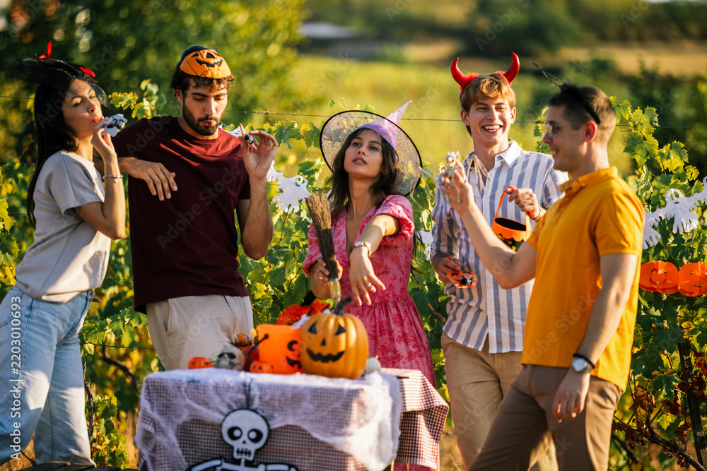 Obraz premium Group of young friends in Halloween costumes celebrating outdoors in a vineyard.