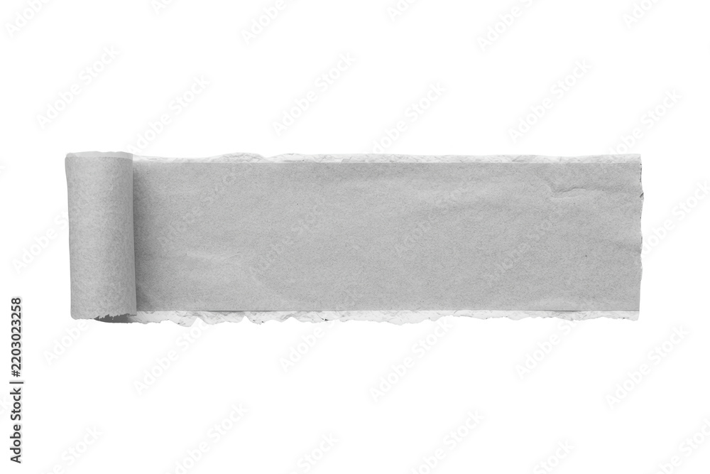 Obraz premium Gray rolled paper banner decorative cutout suited to print and web design