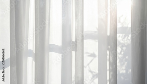 Sheer Curtain Backlit by Warm Sunlight with Branch Shadows