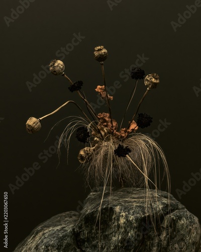 Dark bouquet of dried poppy pods, black flowers and wispy grasses arranged on stone, creating a dramatic gothic Halloween still life with moody botanical styling.