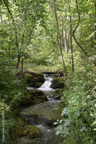 Cours d'eau en montagne