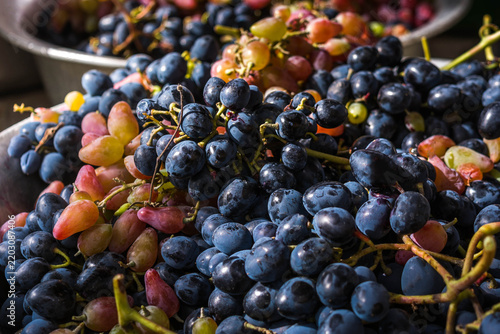 Ripe grapes