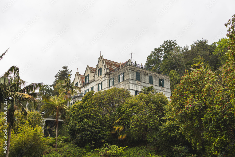 Obraz premium The inner garden of Monte Palace Madeira, Funchal