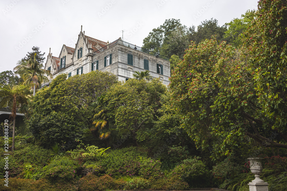 Obraz premium The inner garden of Monte Palace Madeira, Funchal