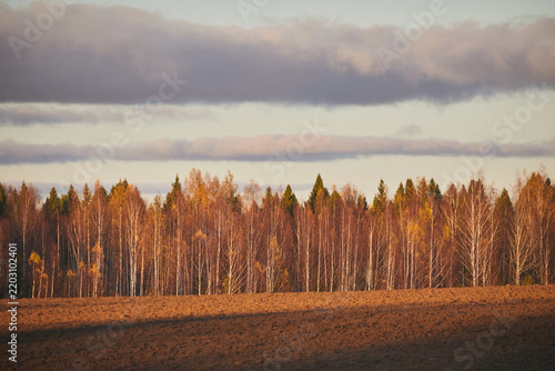 Rural landscape: a plowed field against a backdrop of autumn trees