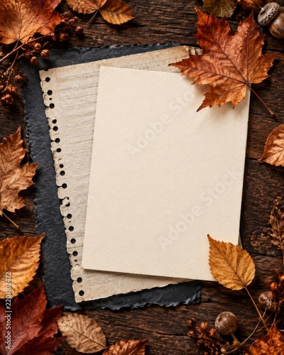 Autumn Leaves and Blank Papers on Wooden Table