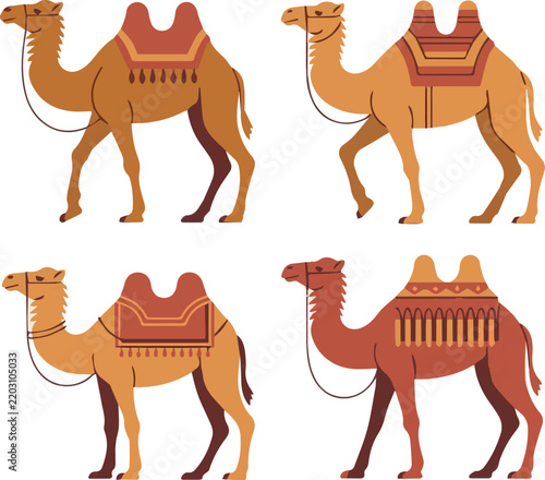 Foto Camels