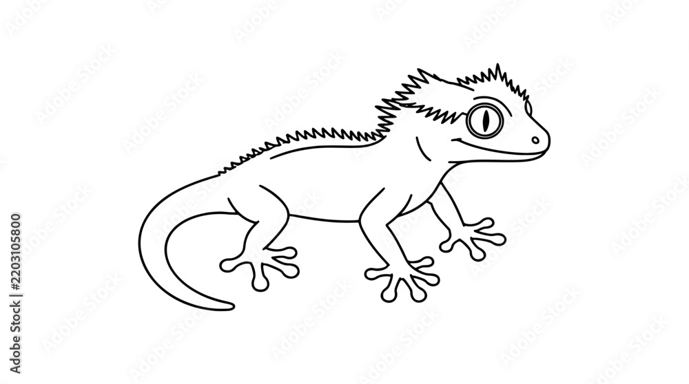 Fototapeta premium Black outline line art illustration of a crested gecko lizard in side view with spiked dorsal crest, large round eye, curled tail and splayed toed feet drawn with bold lines showing four legs