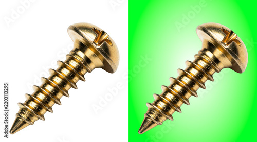 Two brass self-tapping metal screws
