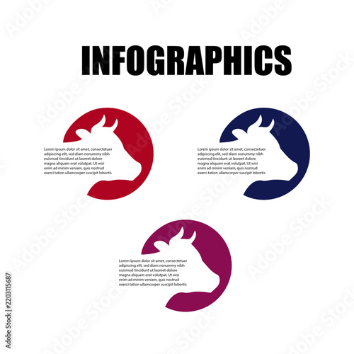 Colorful Bird Infographic Template Design