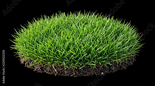 green grass on black background