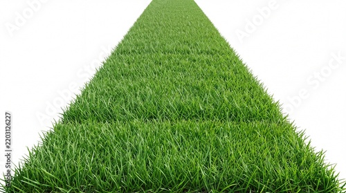 green grass on white background