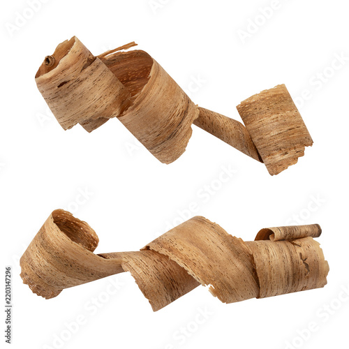 Set of abstract wood shavings sawdust isolated on transparent background