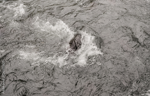 Textura de agua en movimiento con espuma y ondas sobre superficie de río