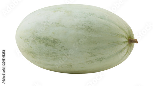 Canvastavla Isolated fresh pale green oblong winter melon or smooth honeydew fruit with natu