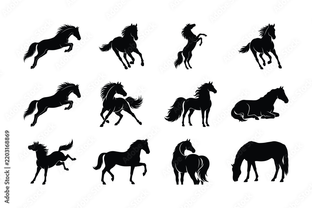 Obraz premium Horse Silhouette Vector Collection