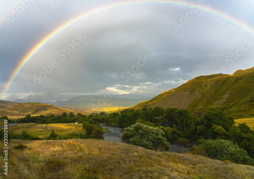 Atmospheric nature shot with a rainbow and golden grass
