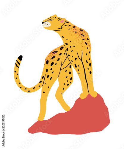 Standing Spotted Leopard Illustration with Bold Red Shape