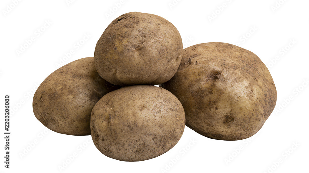 Fototapeta premium Isolated fresh group of unwashed potatoes showing natural texture and earthy appeal.