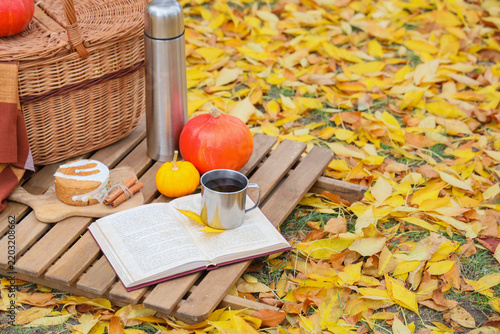 Basket with book, cup of tea and cake in autumn park