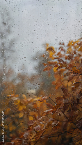 Rain Drops on Window With Soft Autumn Foliage Creating an Atmospheric Seasonal Mobile Wallpaper Background