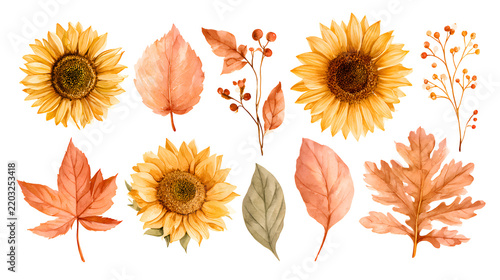 Watercolor autumn sunflowers and fall leaves collection on black background