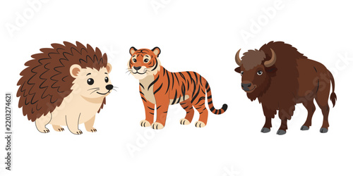 Animals Illustration