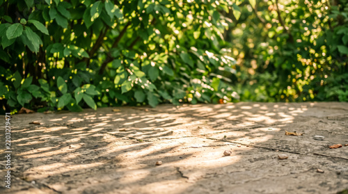 Outdoor stone pavement background with dappled sunlight shadows and blurred green foliage