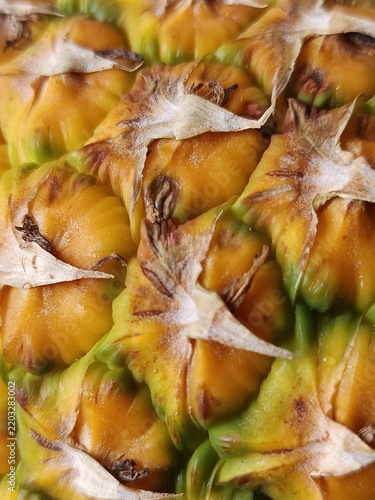 Extreme close up macro shot of ripe pineapple skin texture showing yellow and green scales