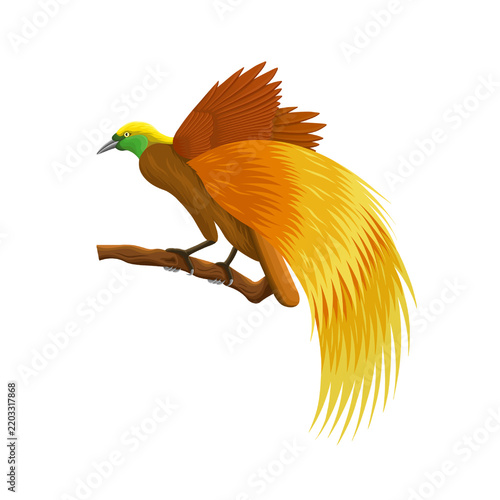 Cendrawasih bird of paradise perched on branch, Papua fauna digital illustration PNG
