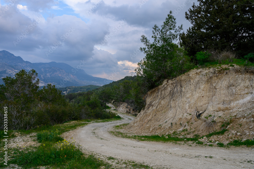 Fototapeta premium Winding dirt path through lush greenery under a cloudy sky in a serene mountainous landscape