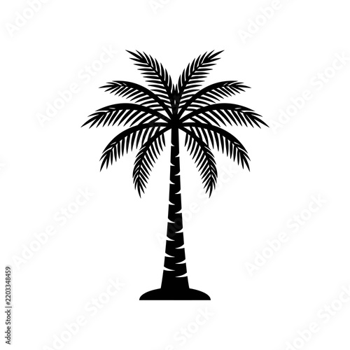 Black silhouette of a tall palm tree isolated on white