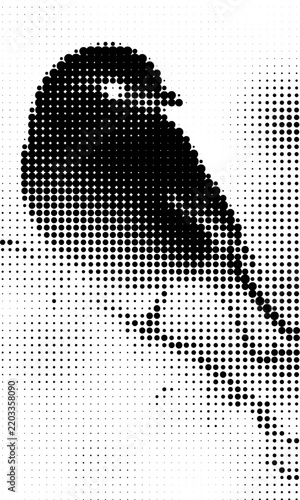 Black and White Halftone Bird Silhouette Abstract Dot Pattern Illustration