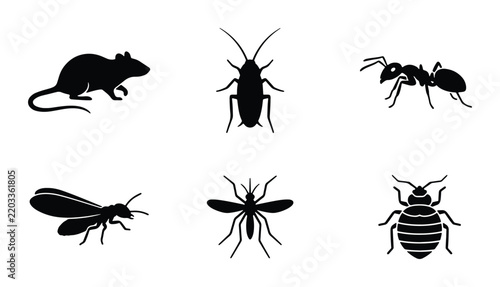 Pest Control Icons: Ant, Cockroach, Mouse, Fly, Mosquito, Bed Bug Silhouettes for Infestation Management