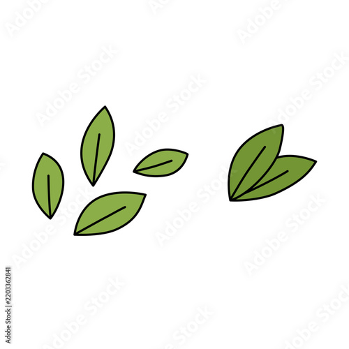 Several green leaves scattered on a surface. Some leaves are separate, while two are clustered together