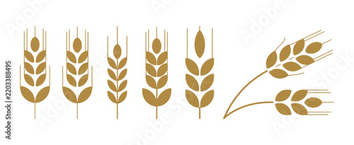 Gold wheat silhouette collection featuring wheat and rice grain symbols for agriculture, farming, food, and harvest designs