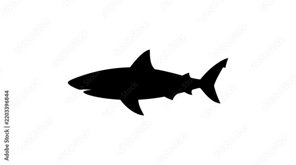 Fototapeta premium Silhouette of a great white shark swimming in the ocean.