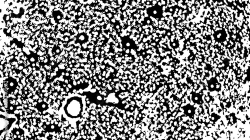Monochrome abstract texture with black and white organic speckled dots.