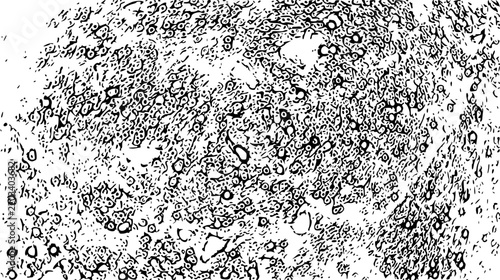 Monochrome abstract texture with black and white organic speckled dots