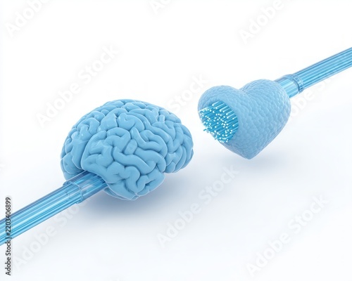 Blue brain and heart shapes connected by fiber optic cables 3D digital illustration representing emotional intelligence and human data connectivity