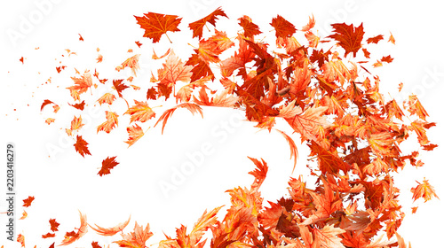 autumn leaves wind wave isolated - 3d rendering