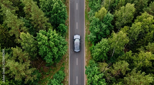 Dark sedan driving on a paved road through a dense forest